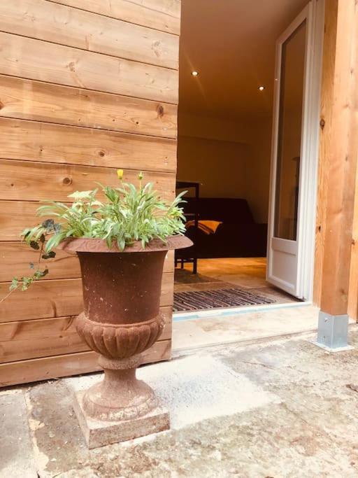 Bienvenue « A L'Ombre Du Figuier » Apartment Pieusse Екстериор снимка